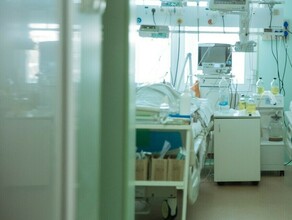 Родители залечили своего ребенка от ветрянки до смерти