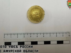 В Приамурье будут судить мужчину незаконно хранившего золото стоимостью 5 миллионов рублей