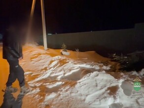 Молодой благовещенец недолго думая спилил ель прямо у дома чужого человека видео 