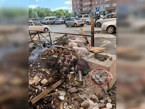 В соцсетях сообщают что в Благовещенске изза мусора пострадали автомобили 