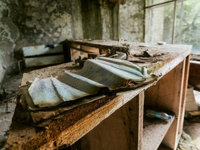 Ученые назвали страны которым не грозит вымирание в случае ядерной войны