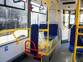 За несколько лет в Благовещенске обновили почти все автобусы