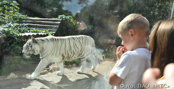 Амурские школьники могут выиграть путевку в Московский зоопарк