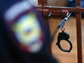 В Амурской области честный вор продал кухонную плиту соседа за 250 рублей