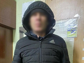 В Приамурье задержали серийного вора который прятал награбленное в сугробах