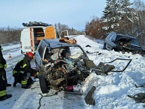 В Приамурье ищут очевидцев резонансного ДТП которое унесло жизни двух человек и покалечило маленьких детей
