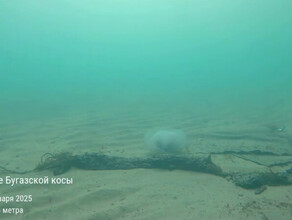 Мазут на дне Черного моря сняли на видео