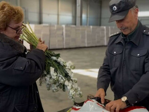 Китайские хризантемы со ржавчиной не пустили в Амурскую область