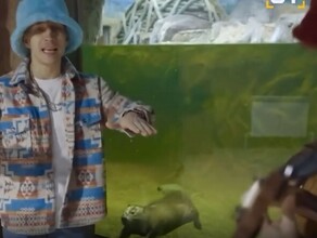 Психологи объяснили почему завирусилась песня Сидим с бобром за столом Первый мем года создал упаковщик мебели