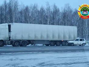 В Амурской области легковушка не смогла объехать грузовик и врезалась в него