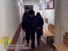 Сломан нос ушибы боли арестован мужчина изнасиловавший и зверски избивший знакомую во Владивостоке