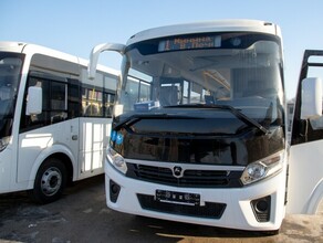 В Благовещенске в новом году пустят несколько новых автобусов Таких в городе еще не было
