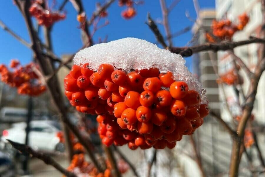 Погода в Амурской области к середине недели резко сменит настроение 