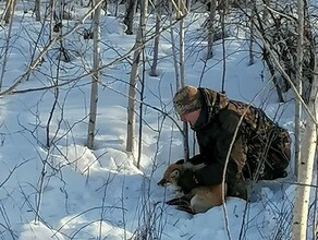Амурским туристам в 30километровом марафоне по лесам пришлось развернуть спасательную операцию