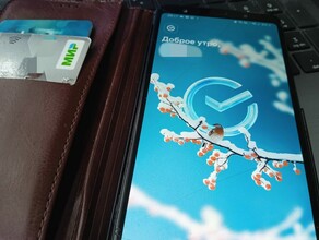 Амурчане сообщили о сбоях в работе Сбера Работу сервисов восстановили