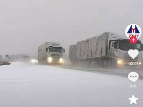 Из Харбина запустили регулярный грузовой автомобильный рейс до Москвы