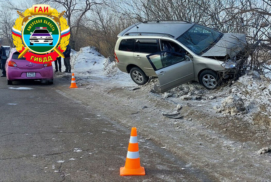 В Благовещенске Toyota врезалась в дерево водитель погиб
