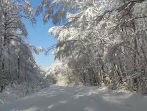 В Приамурье начало весны выдастся морозным Прогноз погоды
