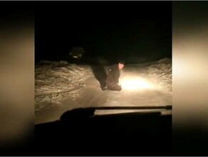 Лежал в снегу Пьяный Отвезли в больницу Амурские поисковики рассказали как спасли мужчину от смерти видео