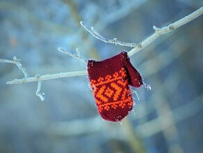 Она стояла в уголке в магазине и говорила что ждет маму Благовещенка рассказала Amurlife как нашла пропавшего ребенка