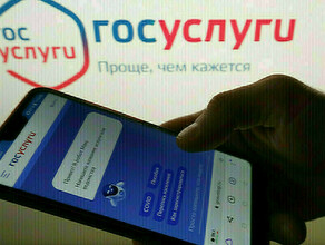 Эксперты рассказали что делать если взломали аккаунт на Госуслугах