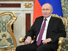 Путин согласился прекратить боевые действия на Украине
