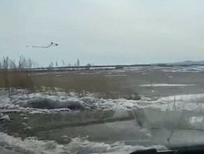 Летящих предвестников тепла заметили в небе над Приамурьем видео
