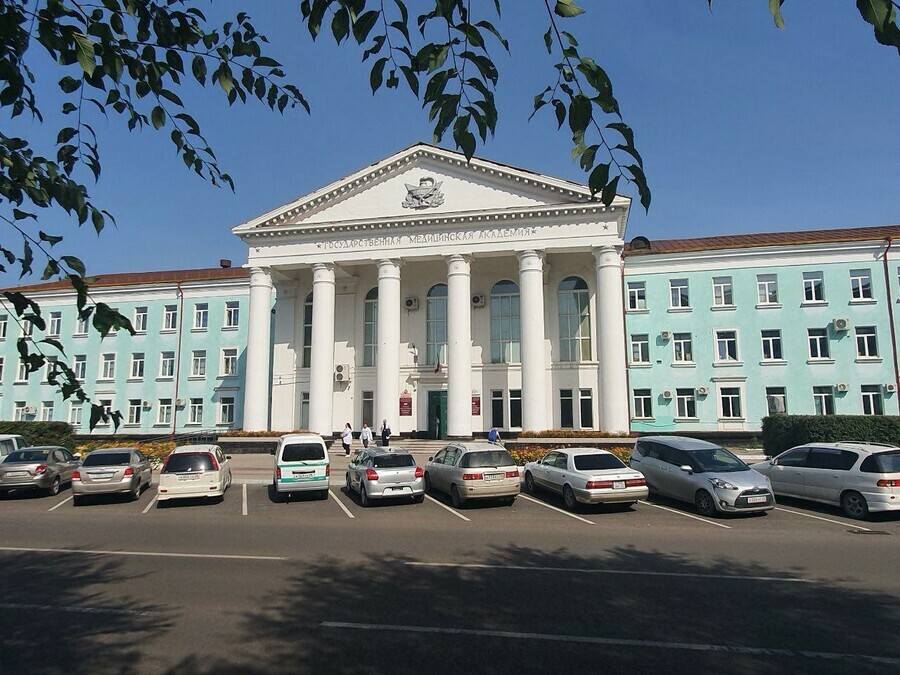 Досадные ошибки при поступлении в вуз  обычные опечатки в заявлениях и подача документов с аккаунта Госуслуг родителей
