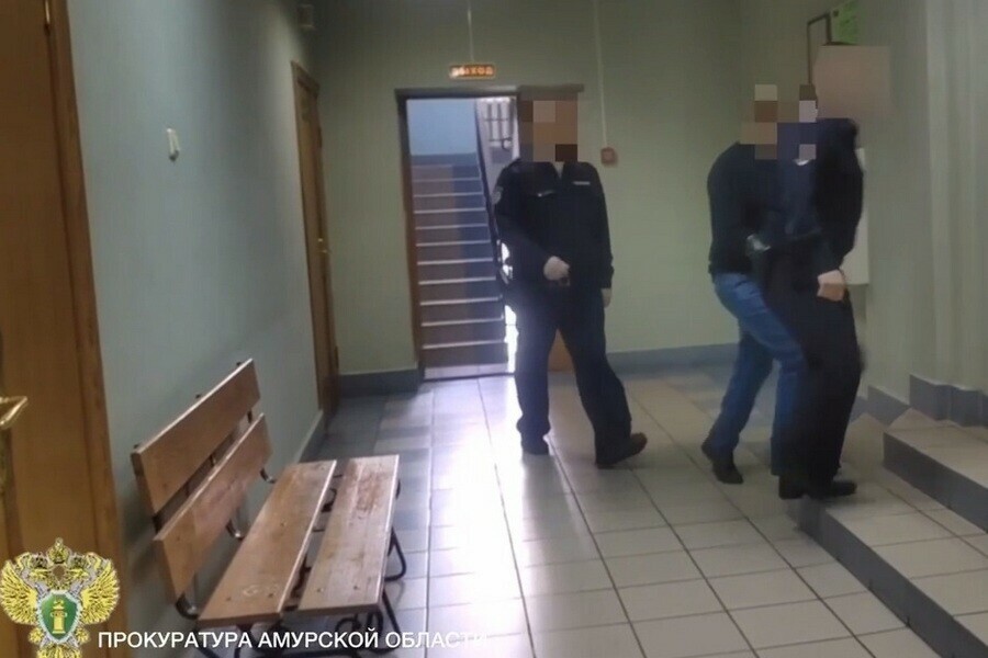 В Благовещенске КМС по борьбе выслушал приговор за нанесение черепномозговой травмы посетителю караокебара видео 