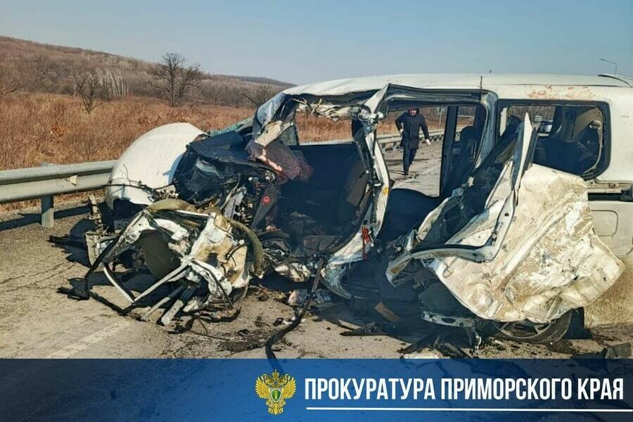 Один человек погиб и восемь пострадали страшное ДТП произошло на федеральной трассе в Приморье фото 