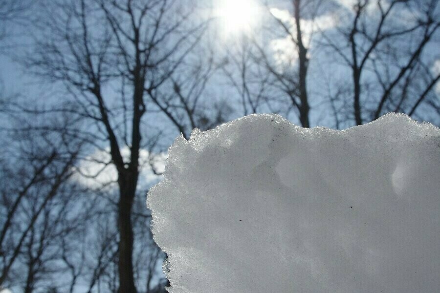 Теплом порадует амурчан первый день апреля