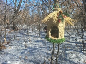 До плюс 5 прогноз погоды в Амурской области на 2 апреля