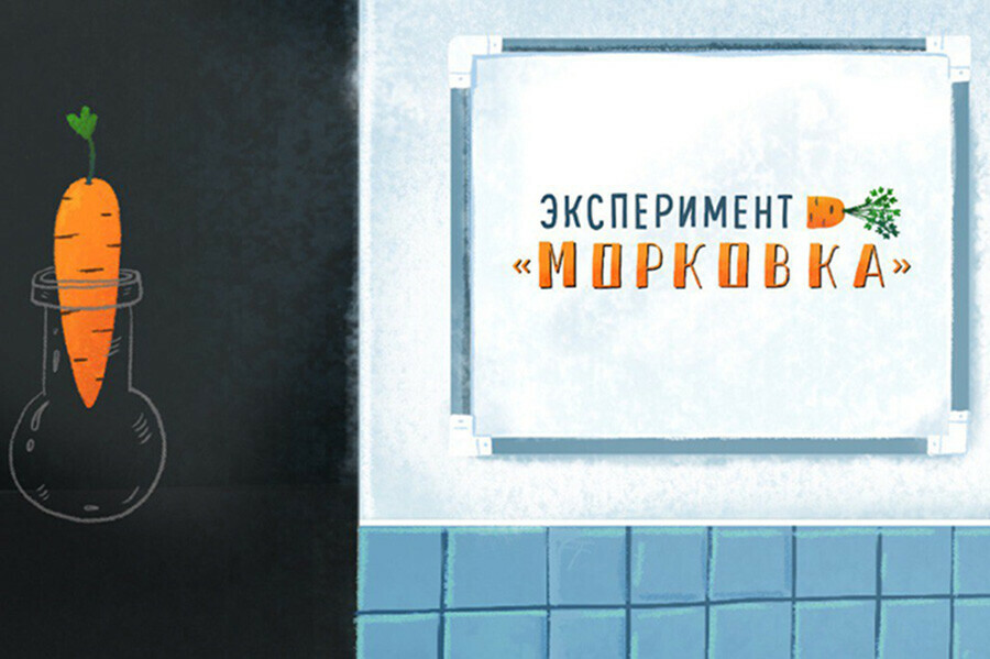 Талантливую молодежь Приамурья приглашают поучиться у мастеров и принять участие в эксперименте Морковка