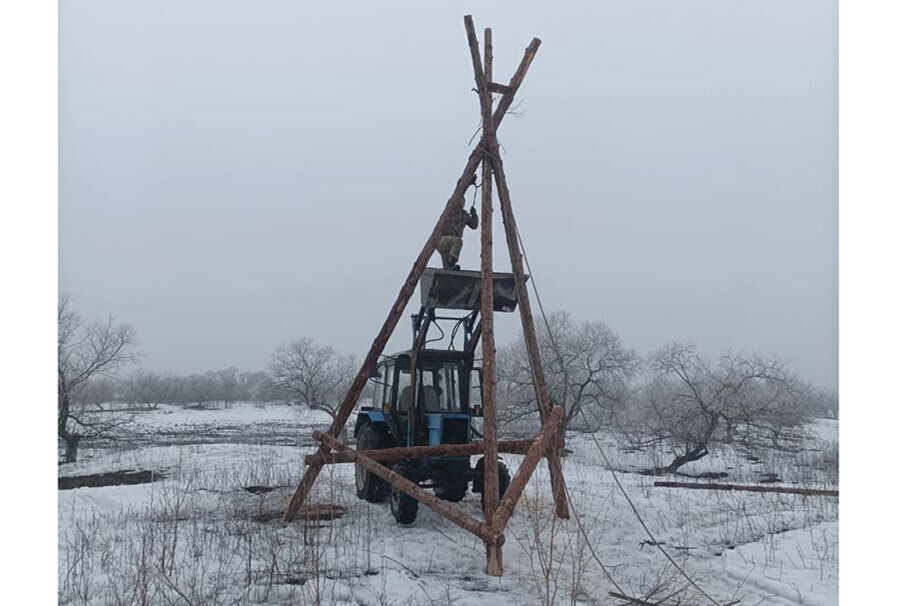 В заказнике Амурской области строят треноги для возвращающихся аистов