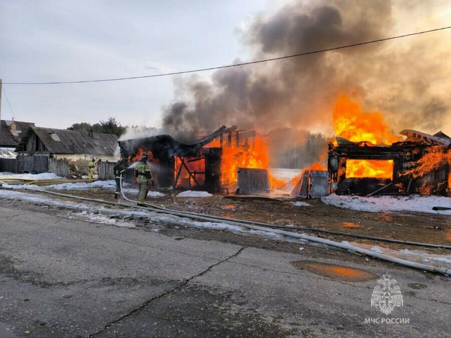 В Амурской области изза огня и сильного ветра полностью сгорело сельское подворье