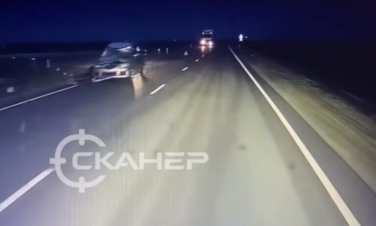 Крупное животное сбили между селами Волково и Лозовое видео