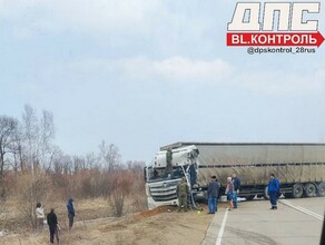 Кабину разворотило жуткое ДТП произошло на трассе в Приамурье фото
