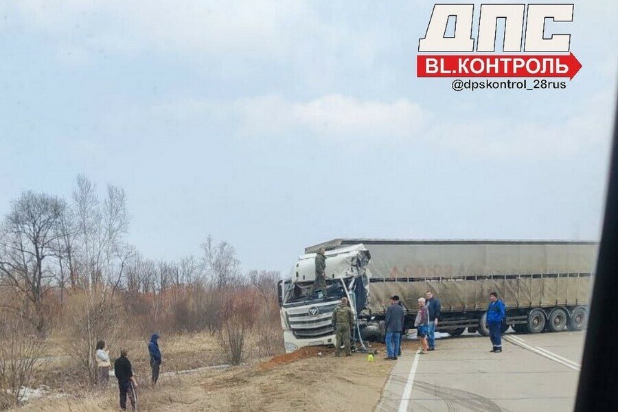 Кабину разворотило жуткое ДТП произошло на трассе в Приамурье фото