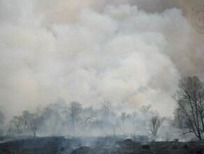 Особый противопожарный режим вводят еще в нескольких муниципальных образованиях Приамурья 
