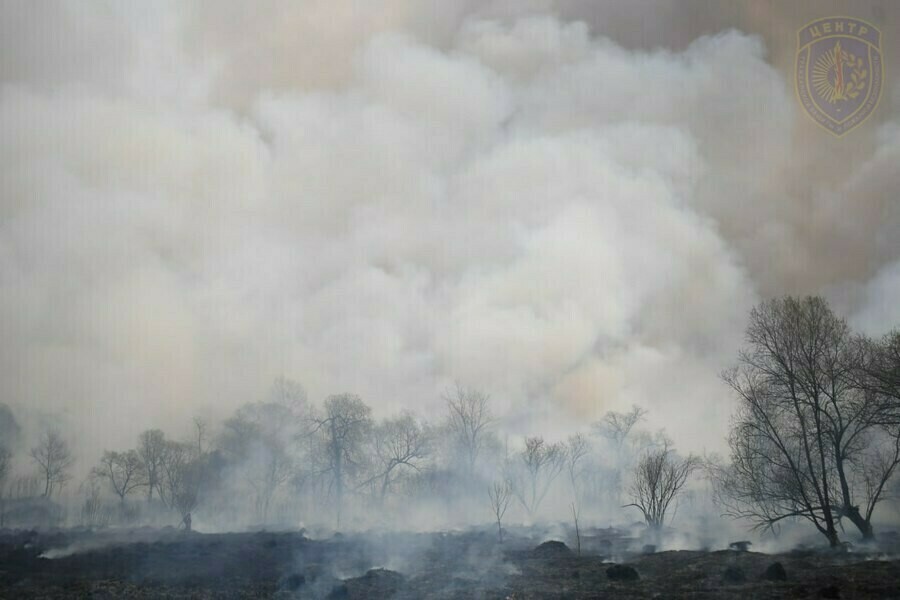 Особый противопожарный режим вводят еще в нескольких муниципальных образованиях Приамурья 