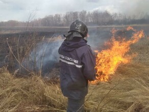 Ночью пал подобрался к населенному пункту в Приамурье видео