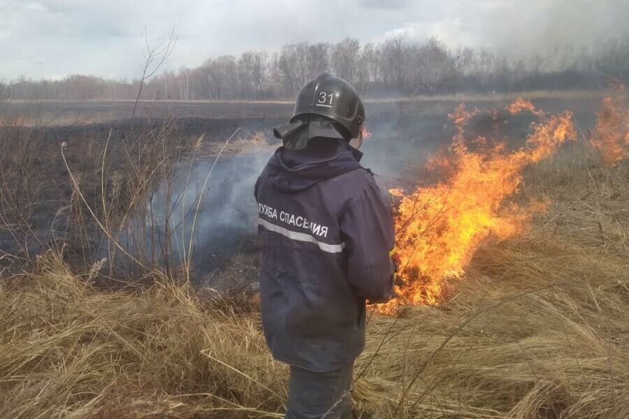 Ночью пал подобрался к населенному пункту в Приамурье видео