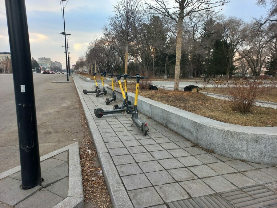 Ждем очередной трагедии Благовещенцы требуют от властей действенных мер по решению проблемы заполонивших город электросамокатов