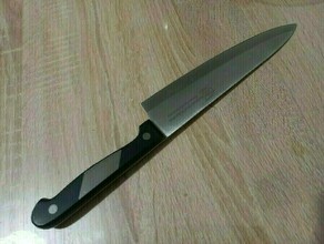 ТАСС актрису Дроздову задержали за нападение с ножом на коллегу
