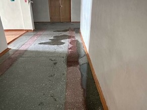 Напора весны не выдержала крыша одного из корпусов университета в Благовещенске фото видео 