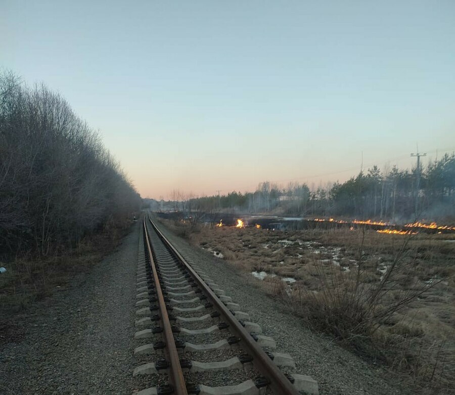 В Амурской области пожарные остановили пал на подходе к жилому поселку