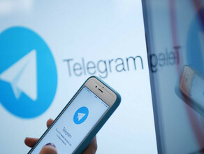 Дуров заявил о массовом переходе пользователей WhatsApp в Telegram