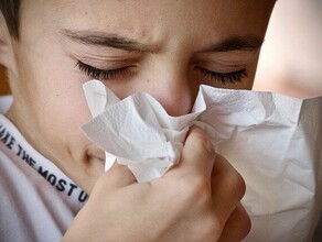 В Амурской области отмечено снижение заболеваемости ОРВИ Кто болеет чаще всего