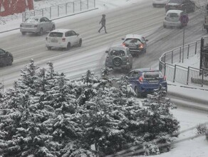 Во Владивостоке изза снегопада случился транспортный коллапс фото видео