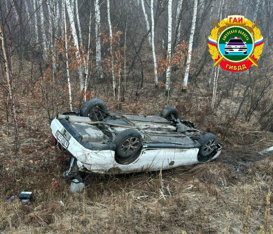 Пьяная амурчанка съехала с дороги автомобиль опрокинулся Пострадали люди